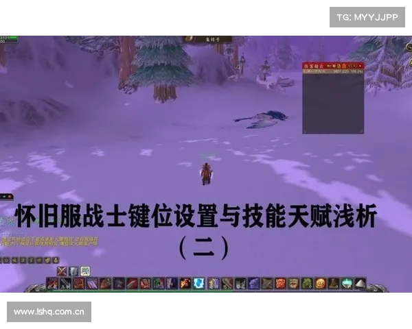 魔兽世界怀旧服：主角技能栏切换，重塑战斗之道